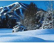 pic-homepage-winter1