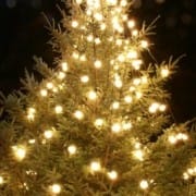 90_15_57---Christmas-Tree_web