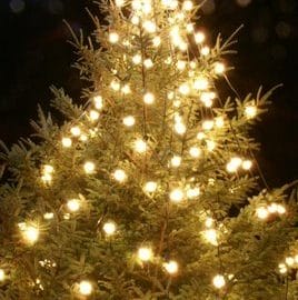 90_15_57---Christmas-Tree_web